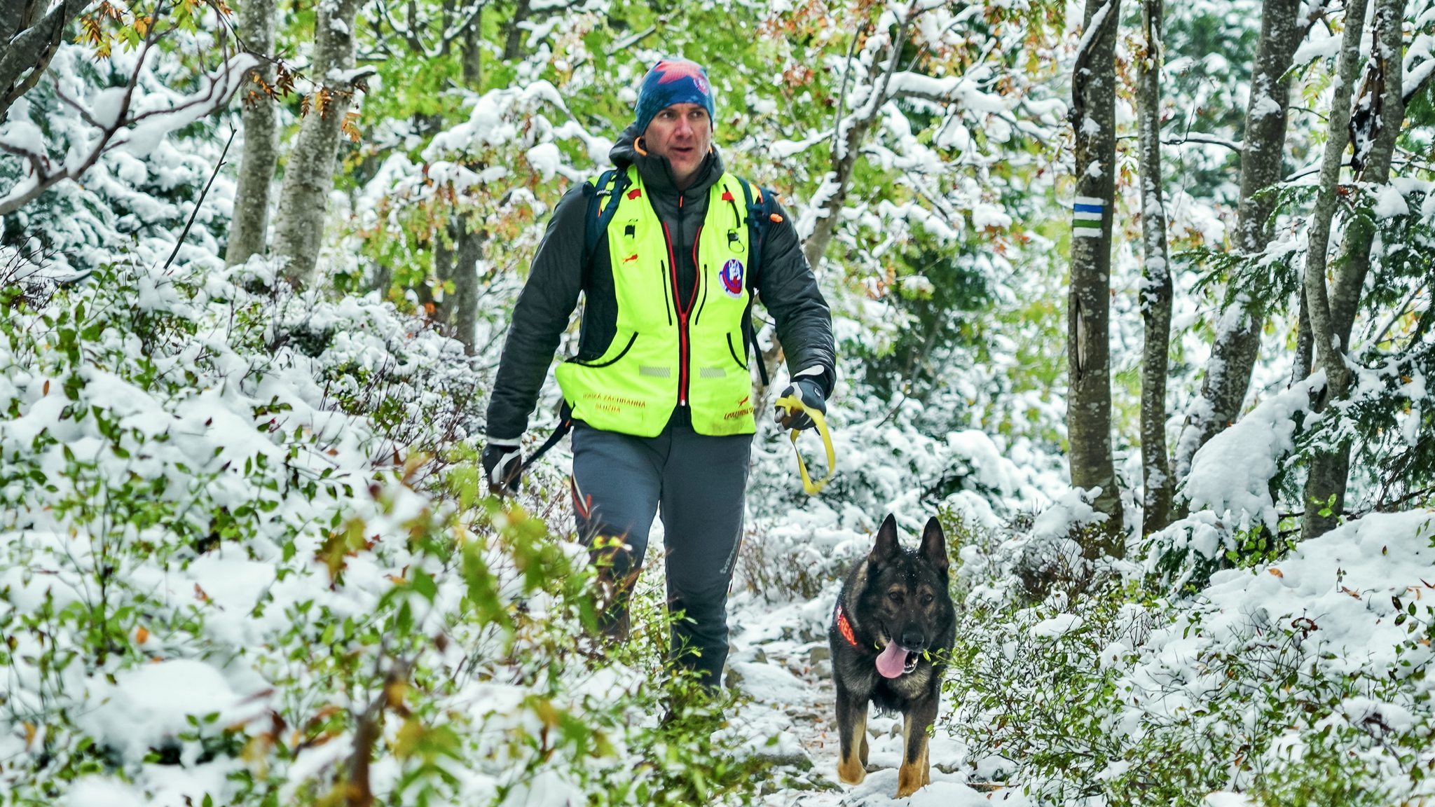 kynologicka rallye memorial stefana zavackeho 